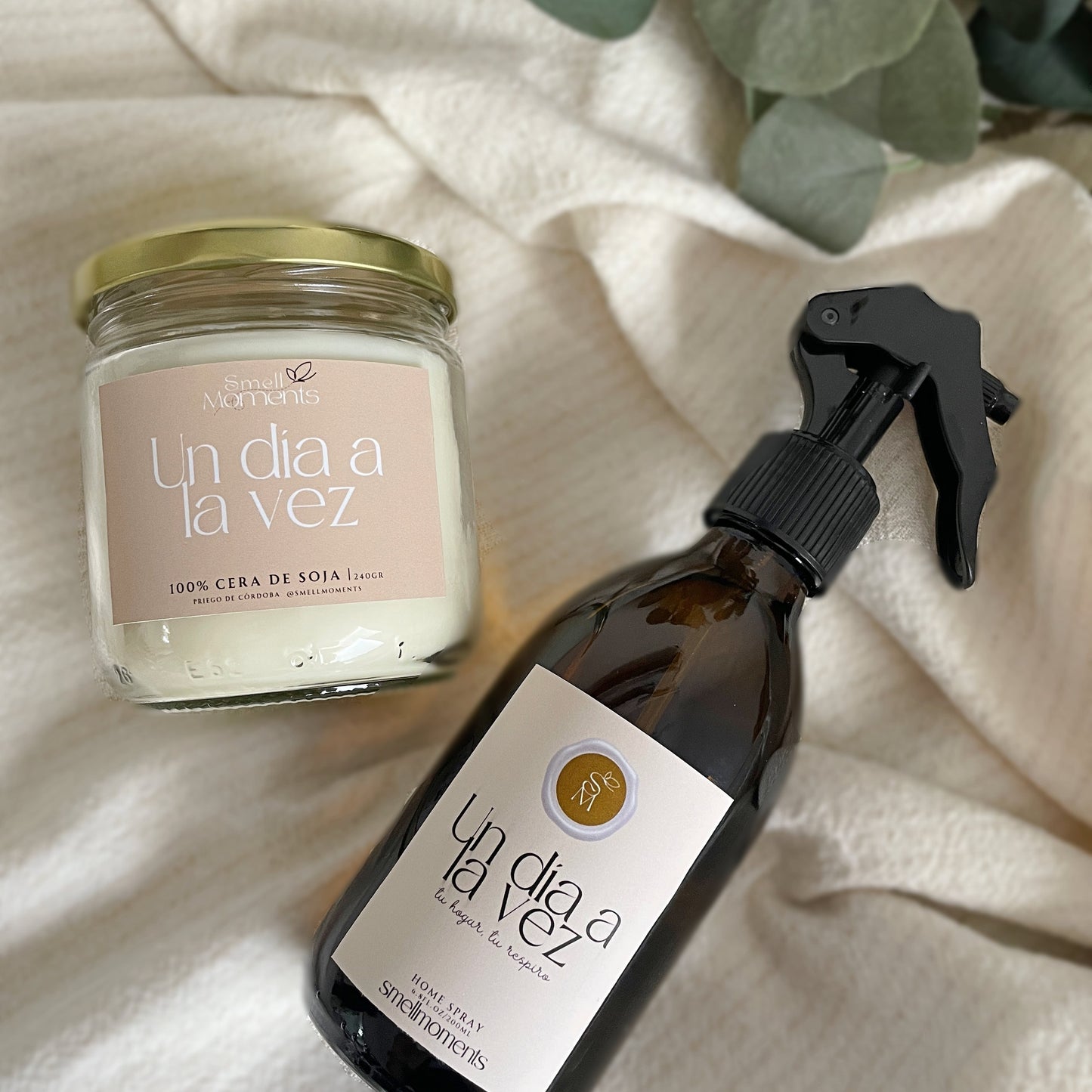 Ritual ´Un día a la vez´ | Paz y Felicidad al llegar a casa