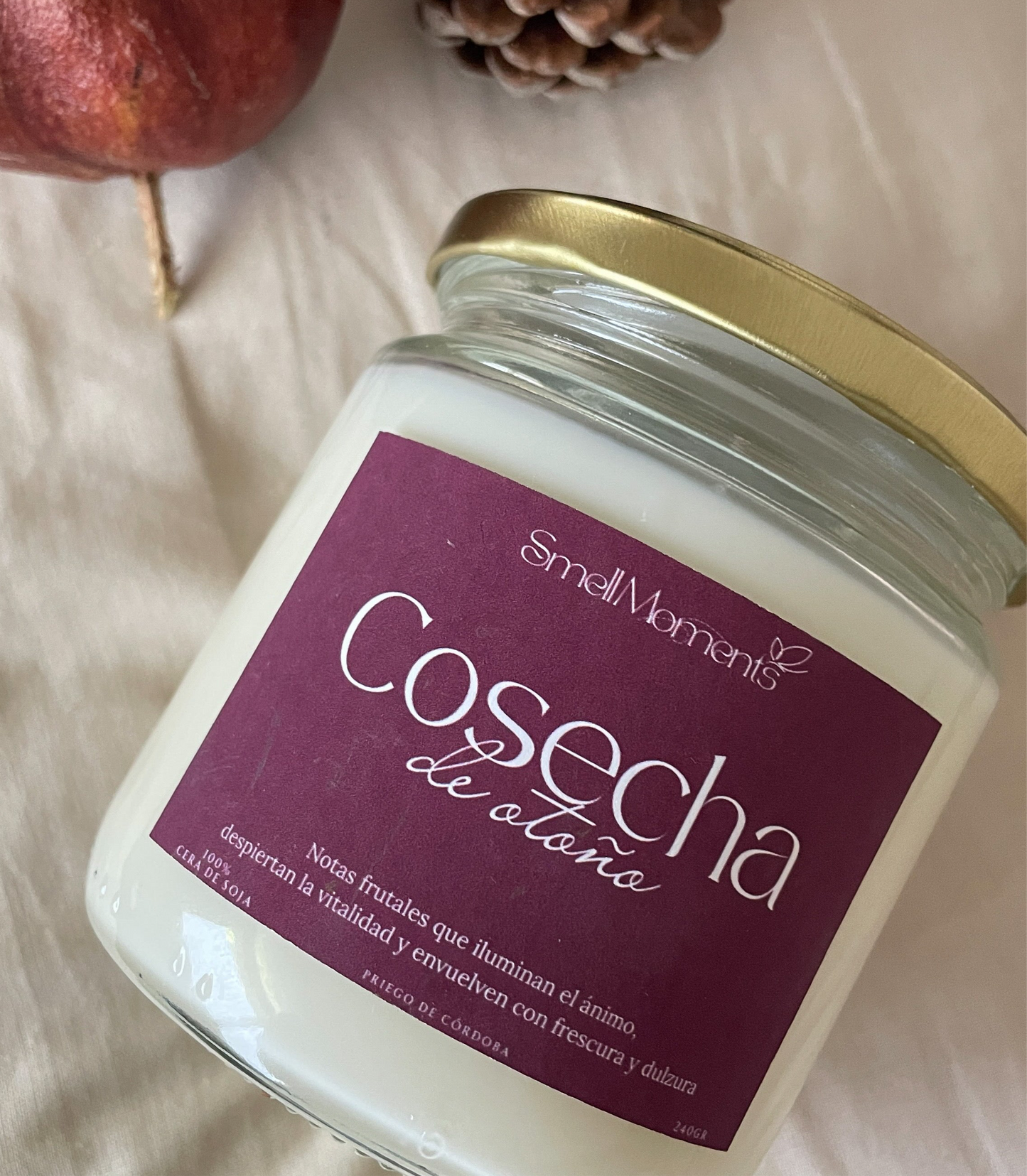 Vela Cosecha de Otoño 🍎🍐🍇