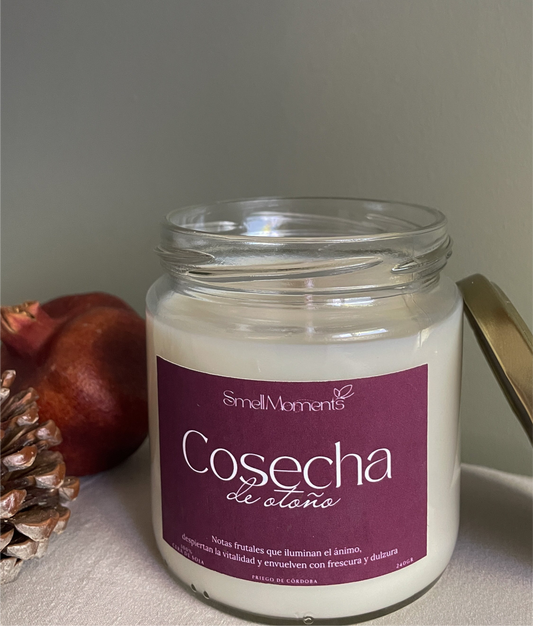 Vela Cosecha de Otoño 🍎🍐🍇